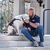 Study: Service dogs lower severity of PTSD symptoms 